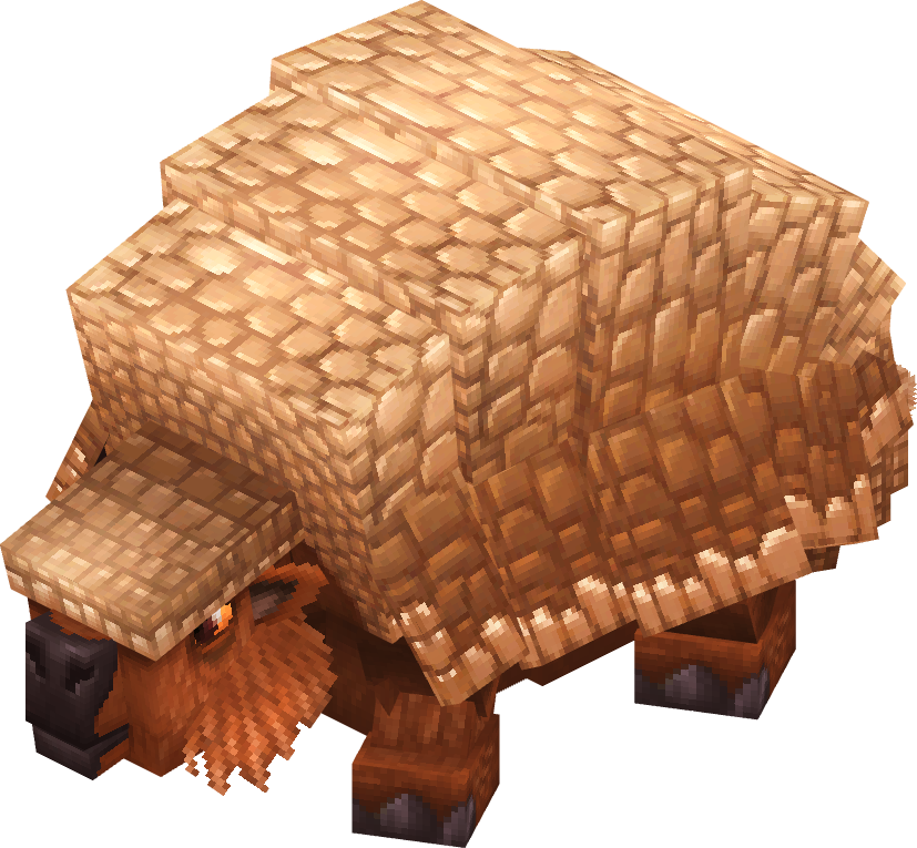 Armadillo