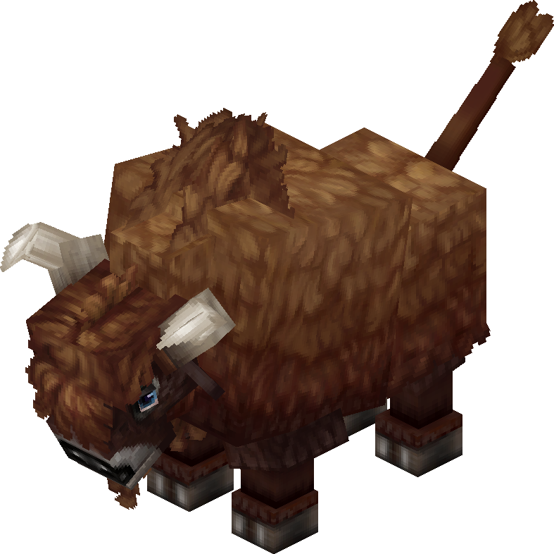 Bison