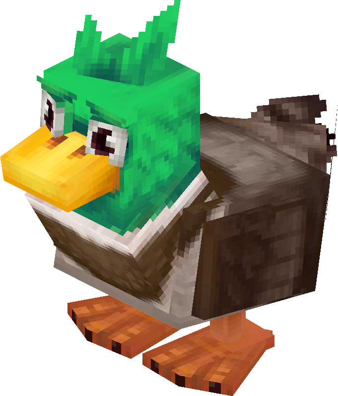 Duck