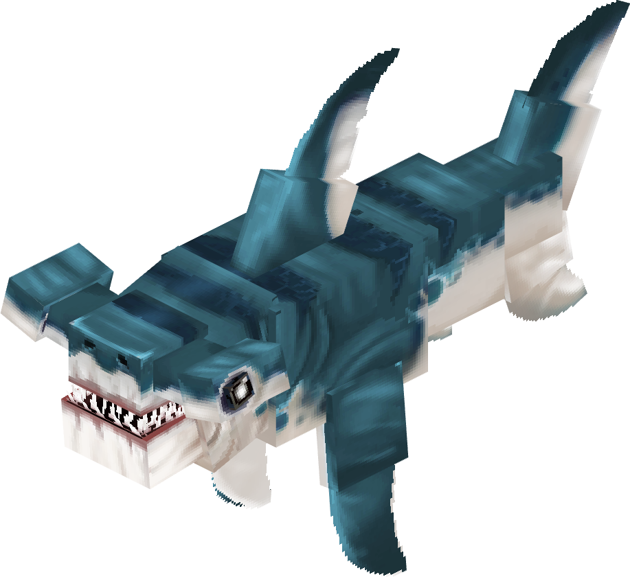 Hammerhead Shark