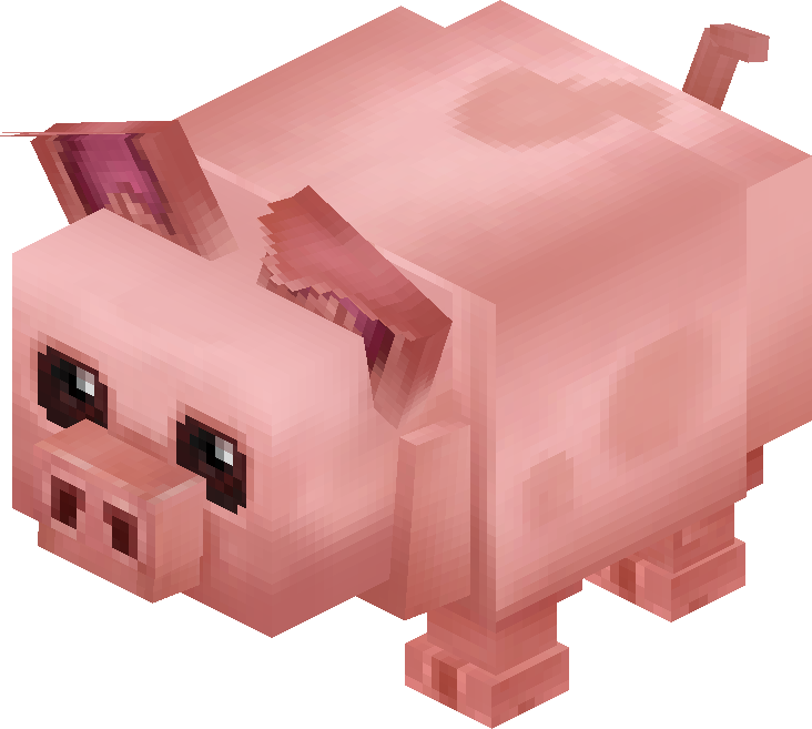 Pig
