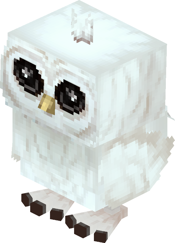 Snowy Owl